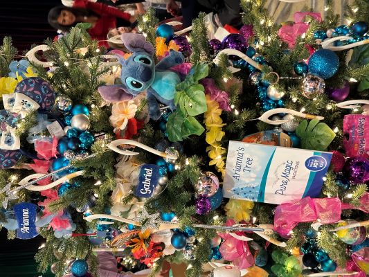 2024 Trees of Joy A